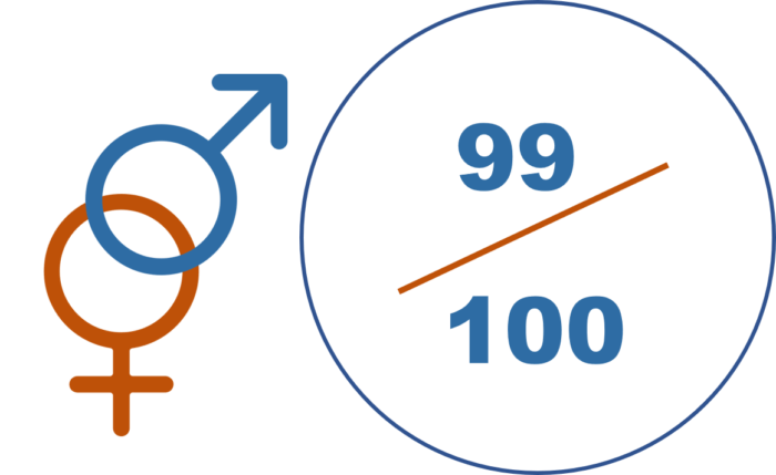 Index Egalité Professionnelle 2020